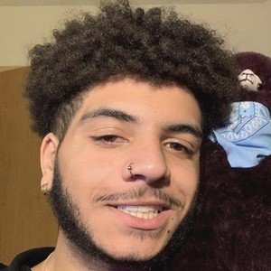 Chris Udalla image 4