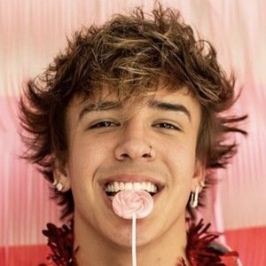 Cole Beckham, 24 (TikTok明星)