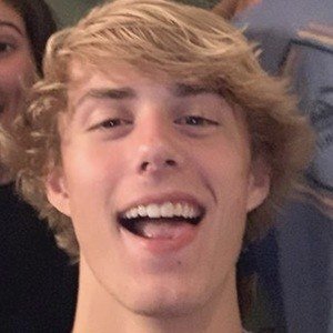 Collin Brientnall image 4