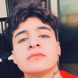 Corbyn Johed image 7