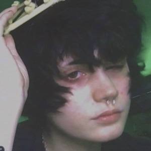 crab0id, 24 (TikTok明星)