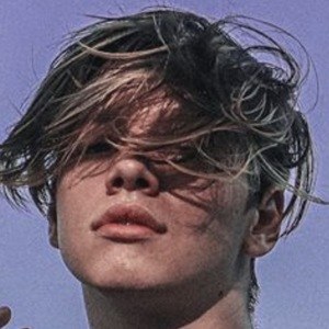 Dakota Johnson, 24 (TikTok Star)