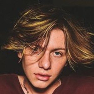 Dakota Johnson, 24 (TikTok Star)