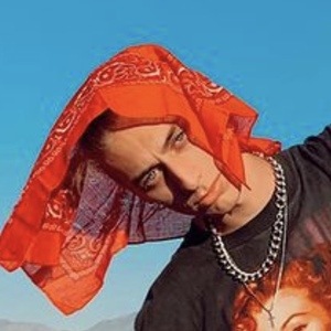 Dakota Seidenspinner, 27 (TikTok Star)