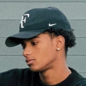 d.alexaandroo image 2