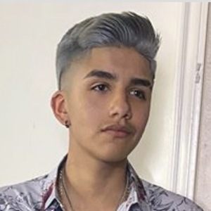 Damian Gurrusquieta image 6