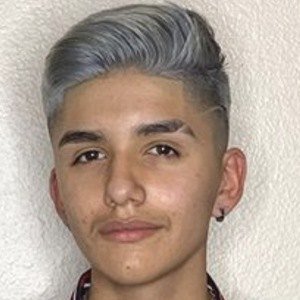 Damian Gurrusquieta image 8