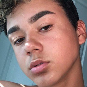 Damn Tommy image 4