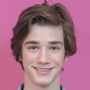 Daniel DiMaggio image 1