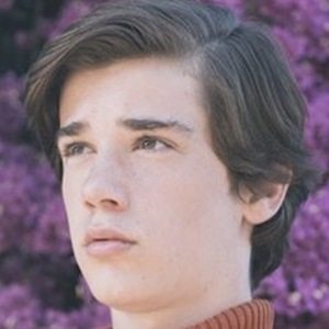 Daniel DiMaggio image 6