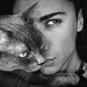 Daniel Portelli image 6