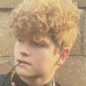 Daniel Prestage, 25 (TikTok Star)