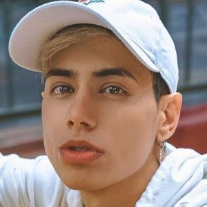 Daniel Vargas image 8