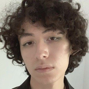 Danny Maisonneuve image 4