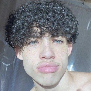 Dante Sanchez, 20 (TikTok明星)