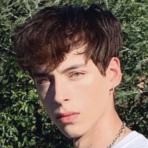 Dantevil image 5