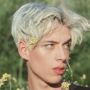 Dantevil image 7