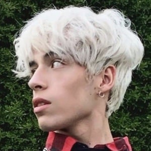 Dantevil image 8
