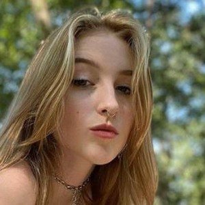 Dara image 2