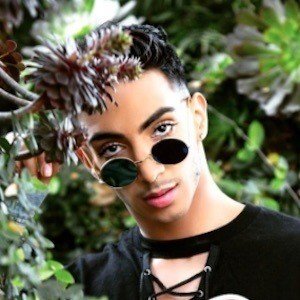 Darrion Gallegos image 8