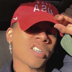 Dasani Giardina image 4