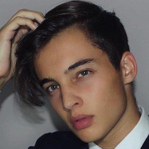 David Belmonte image 4