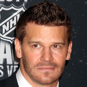 David Boreanaz image 4