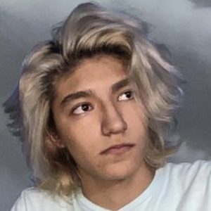 David Cantú, 22 (TikTok Star)