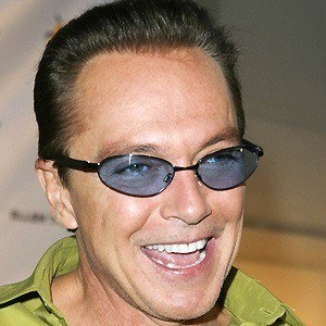 David Cassidy image 3