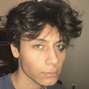 David Green, 22 (TikTok Star)