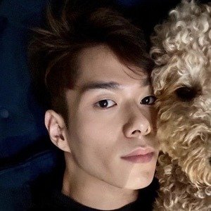 David Kim TikTok image 2