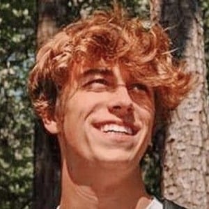 David Latting, 22 (TikTok Star)