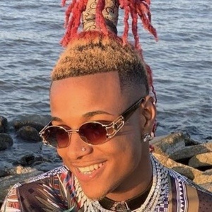 Deelodoitall image 6