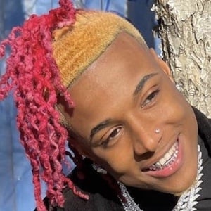 Deelodoitall image 8