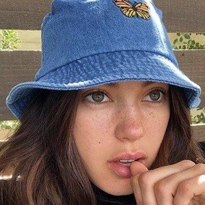 Denise Schaefer image 2