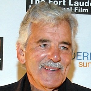 Dennis Farina (1944 - 2013) (电视演员)