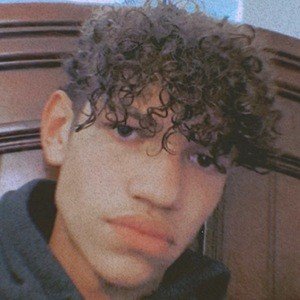 Diego Casco image 3