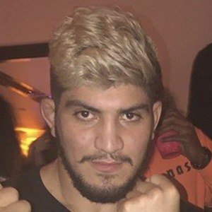 Dillon Danis image 4