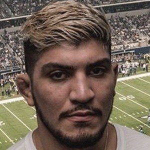 Dillon Danis image 5
