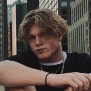 Dillon Newman image 6