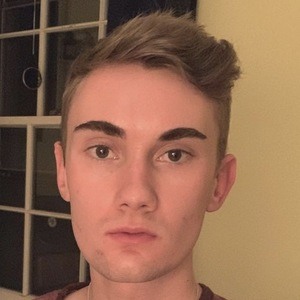 Dinonuggets.jpg image 3