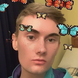 Dinonuggets.jpg image 4