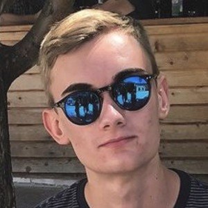 Dinonuggets.jpg image 6