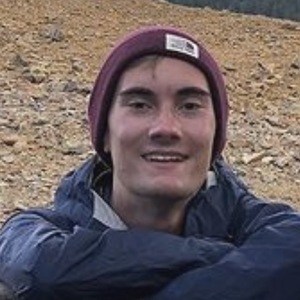 Dinonuggets.jpg image 7