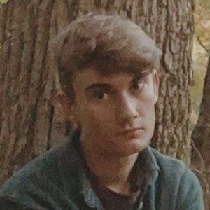 Dinonuggets.jpg image 8