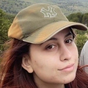 Dinosaur Vlogs image 7