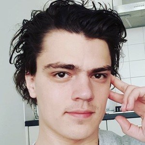 DionTVG, 29 (YouTube-ster)