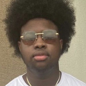 Divine Wilson image 5