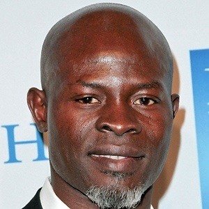 Djimon Hounsou image 3