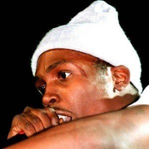 DMX image 3